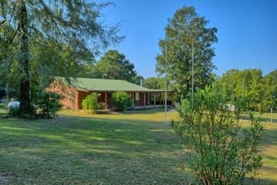 Toledo Bend Lake Home For Sale in Wiergate Texas