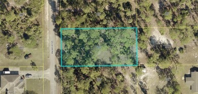 Lehigh Acres Area Lot For Sale in Lehigh Acres Florida