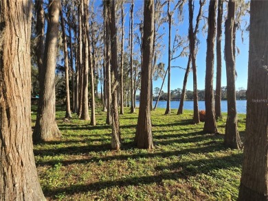 Lake Lot For Sale in Odessa, Florida