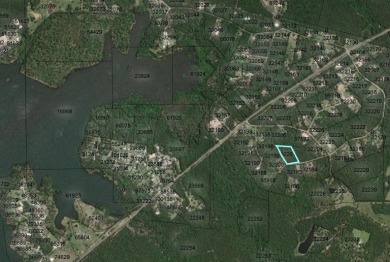 Lake Sam Rayburn  Acreage For Sale in Brookeland Texas