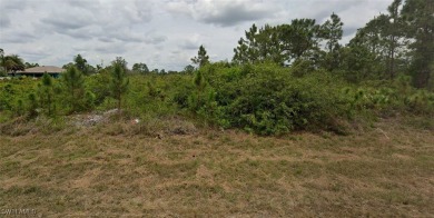 Lehigh Acres Area Lot For Sale in Lehigh Acres Florida