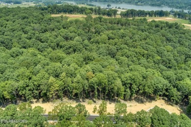 Lake Lot For Sale in Loudon, Tennessee