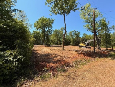 Lake Lot For Sale in Eustace, Texas