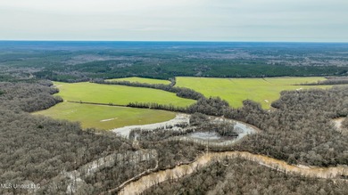 (private lake, pond, creek) Acreage For Sale in West Mississippi