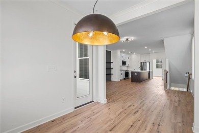 Welcome to The Village! A brand new luxury Townhome Neighborhood - photo 19