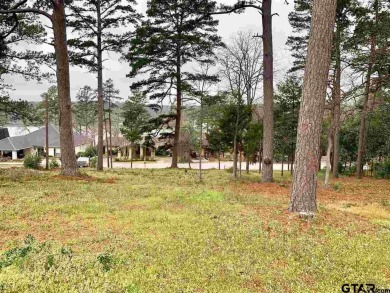 Lake Lot For Sale in Hideaway, Texas