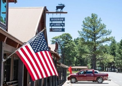Mormon Lake Lodge is a premier 280 acre mountain resort that - photo 1