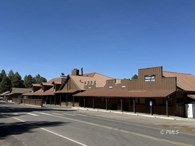 Mormon Lake Lodge is a premier 280 acre mountain resort that - photo 2