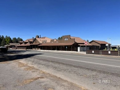 Mormon Lake Lodge is a premier 280 acre mountain resort that - photo 4