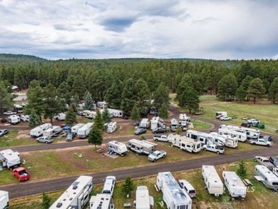 Mormon Lake Lodge is a premier 280 acre mountain resort that - photo 9