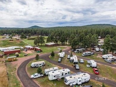 Mormon Lake Lodge is a premier 280 acre mountain resort that - photo 10