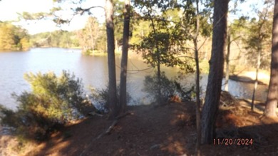 Fish camp, Weekend getaway or home you decide. This cabin sits - photo 13
