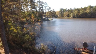 Fish camp, Weekend getaway or home you decide. This cabin sits - photo 15