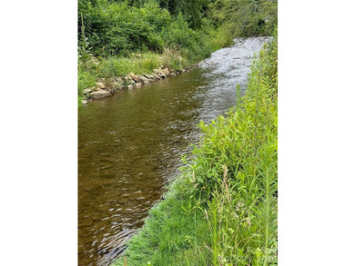 Wake up to the sights and sounds of Spring Creek at this - photo 30