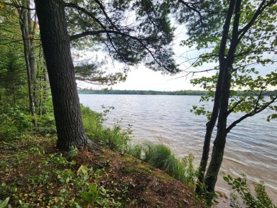 Sugar sandy shoreline on The Sugarbush Chain of Lakes in the - Lake Acreage For Sale in Lac du Flambeau, Wisconsin