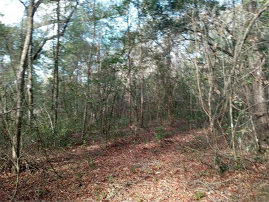 Withlacoochee River Lot Sale Pending in Webster Florida