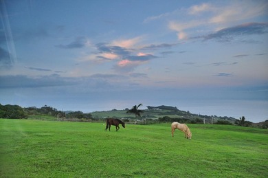 The road up to 21 Hulumanu Place winds along a dramatic - photo 2