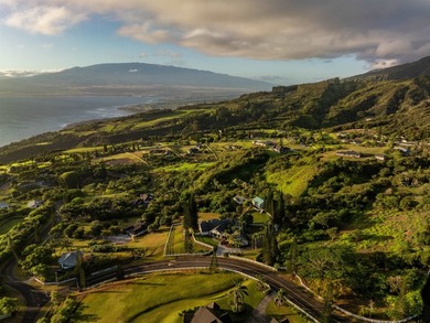 The road up to 21 Hulumanu Place winds along a dramatic - photo 4