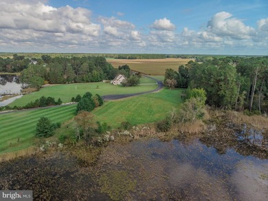 (private lake, pond, coastal) Acreage For Sale in Princess Anne Maryland
