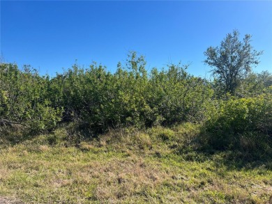 Amazing quarter acre lot available in Florida's best hidden - photo 3