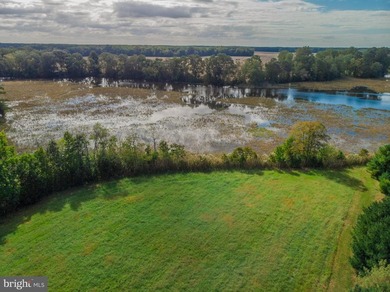 This beautiful building lot on Monie Creek is ready and waiting - photo 6