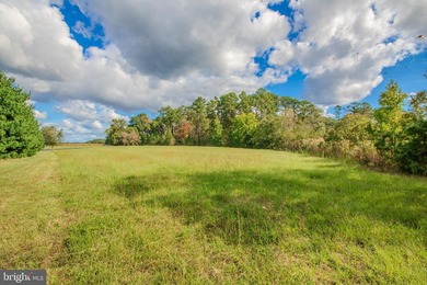 This beautiful building lot on Monie Creek is ready and waiting - photo 8