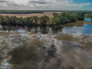 This beautiful building lot on Monie Creek is ready and waiting - photo 10