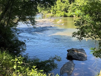 UN-RESTRICTED LOT on the Chattahoochee River!! Build your dream - photo 11