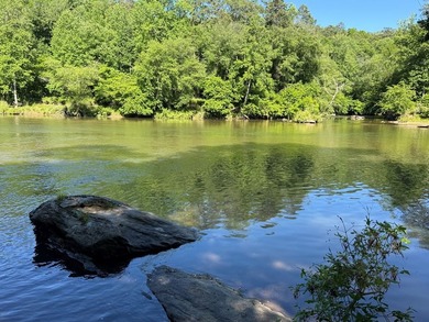UN-RESTRICTED LOT on the Chattahoochee River!! Build your dream - photo 14