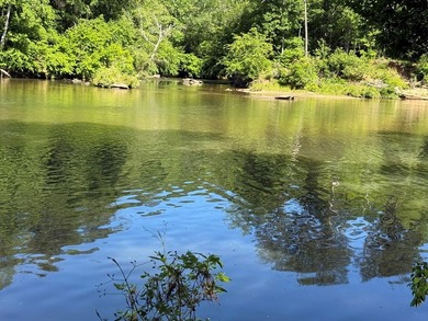 UN-RESTRICTED LOT on the Chattahoochee River!! Build your dream - photo 15