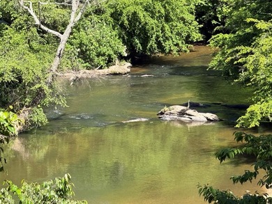 UN-RESTRICTED LOT on the Chattahoochee River!! Build your dream - photo 17
