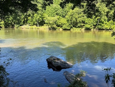 UN-RESTRICTED LOT on the Chattahoochee River!! Build your dream - photo 20