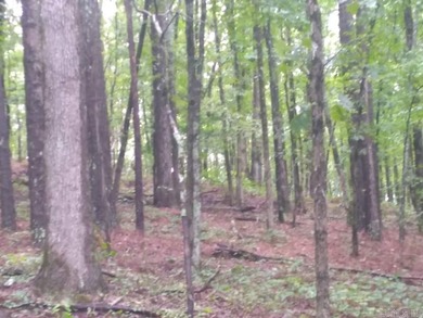 DeGray Lake Acreage For Sale in Amity Arkansas