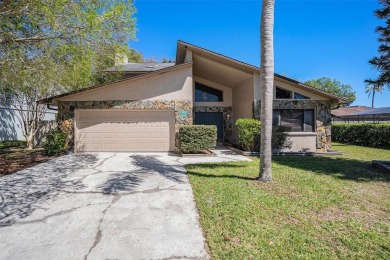 Lake Home For Sale in Tampa, Florida