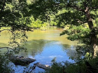 UN-RESTRICTED LOT on the Chattahoochee River!! Build your dream - photo 21