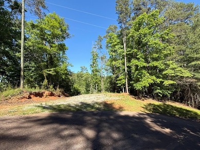 UN-RESTRICTED LOT on the Chattahoochee River!! Build your dream - photo 22