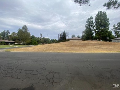 Build your dream home in heart of the Bakersfield Country Club - photo 4