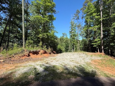 UN-RESTRICTED LOT on the Chattahoochee River!! Build your dream - photo 24