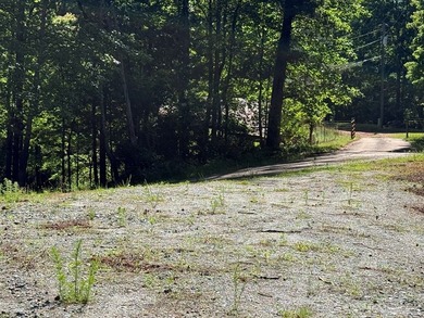 UN-RESTRICTED LOT on the Chattahoochee River!! Build your dream - photo 25