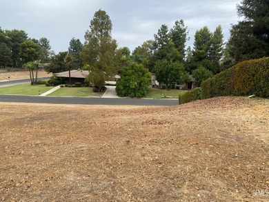 Build your dream home in heart of the Bakersfield Country Club - photo 8