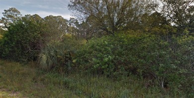 Lehigh Acres Area Lot For Sale in Lehigh Acres Florida
