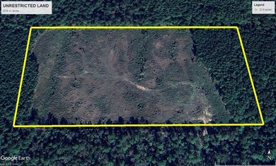 Toledo Bend Lake Acreage For Sale in Shelbyville Texas