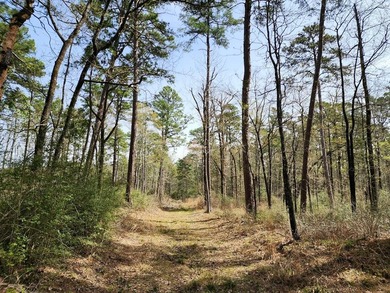 Introducing a stunning 22-acre tract cradled by the picturesque - photo 2