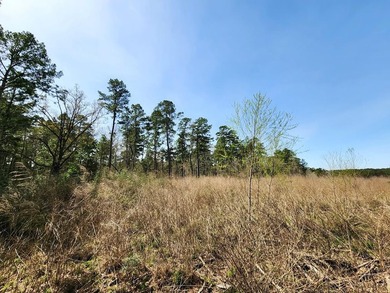 Introducing a stunning 22-acre tract cradled by the picturesque - photo 4