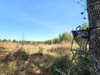 Introducing a stunning 22-acre tract cradled by the picturesque - photo 5