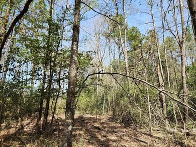 Introducing a stunning 22-acre tract cradled by the picturesque - photo 7