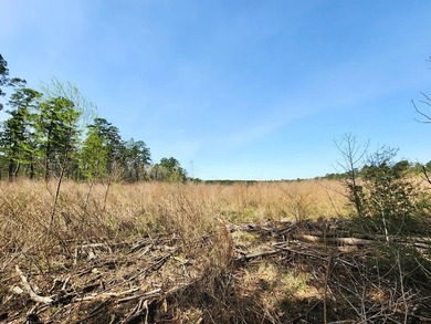 Introducing a stunning 22-acre tract cradled by the picturesque - photo 8