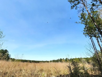Introducing a stunning 22-acre tract cradled by the picturesque - photo 9