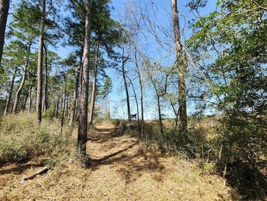 Introducing a stunning 22-acre tract cradled by the picturesque - photo 10