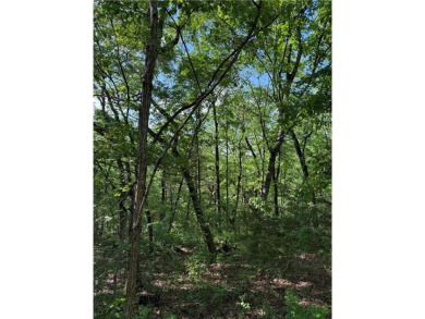 Lake Lot For Sale in Holiday Island, Arkansas